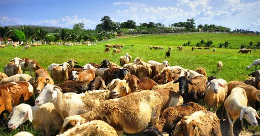 Image for article 12+ Natural Attractions in Johor That Will Whisk You Away From City Life