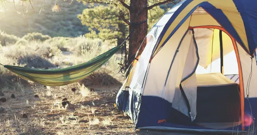 Image for article Top 7 Tips on How to Keep Your Phone Juiced While Camping