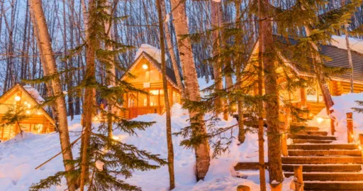 Image for article 11 Things to Do in Hokkaido to Experience Winter