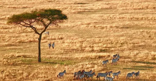 Image for article Where to Travel in 2023, According to Your Zodiac Sign