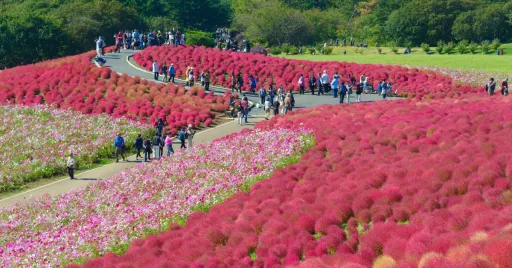 Image for article Viva Magenta Travel Inspo: Where to Find Pantone’s 2023 Color of the Year!