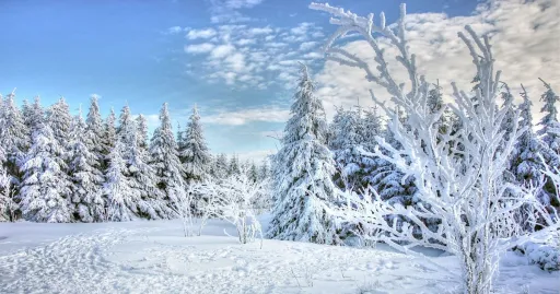 Image for article 13 Tips for Packing Light for Winter Trips