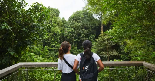 Image for article 25 Nature & Hiking Trails in Singapore to Discover on Your Weekends