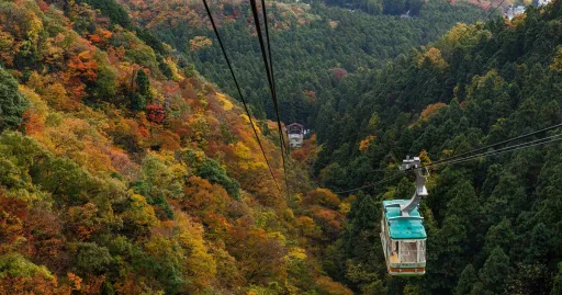 Image for article An Epic 5D4N Self-Drive Itinerary to Explore the Best of Niigata, Japan