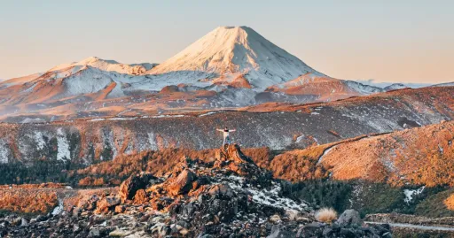 Image for article How I Lived Out My Tolkien Fantasy in New Zealand