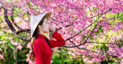 Image for article Best Local Things To Do In Vietnam Throughout The Seasons