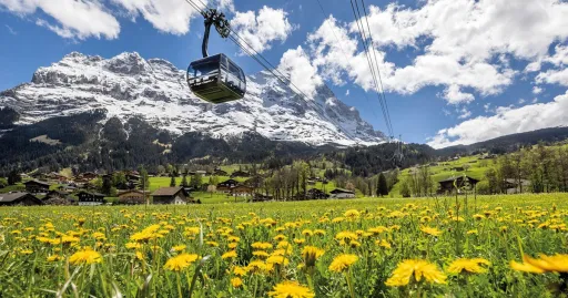 Image for article 8D7N Switzerland Itinerary: Top Things to Do in Switzerland During Summer
