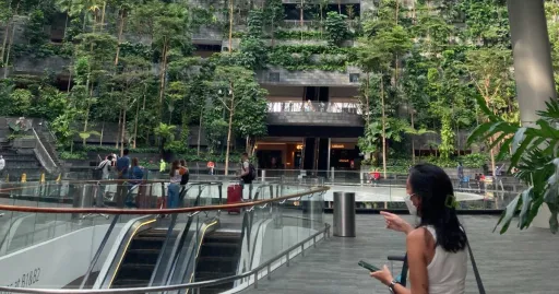 Image for article I Survived 24 Hours in Changi Airport: My Essential Tips for Crazy Flight Cancellations