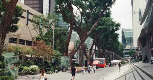 Image for article I Stayed at the New Adina Serviced Apartments in Singapore and Here’s How It Went!