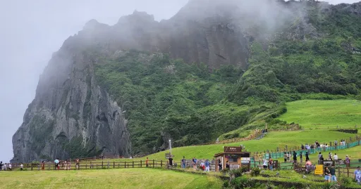 Image for article 5D4N Jeju Itinerary: Discover the Best New Attractions in Jeju