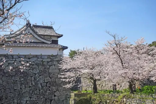 Image for article Fukuoka Tourist Spots: 12 Scenic Attractions You Can’t Miss