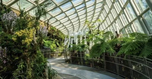 Image for article 8 New Attractions in Singapore for an Immersive Experience