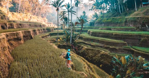 Image for article Bali Travel Tips: 20 Do’s and Don’ts That Every Tourist Should Know
