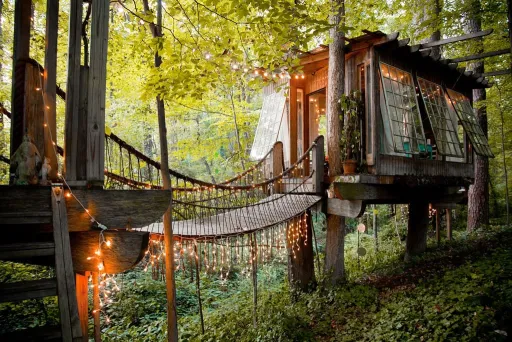 Image for article Treehouse Airbnbs & Vacation Rentals: Fall in Love with These Listings From Around the World