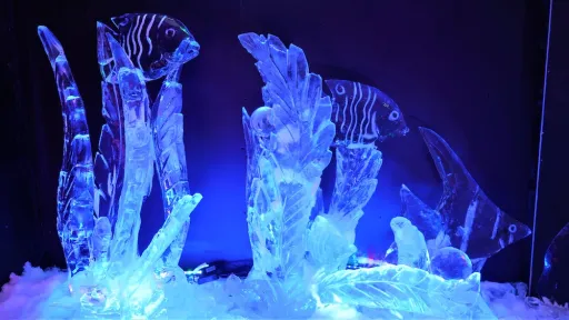Image for article Snow City Unveils Singapore’s First Ice Hotel Exhibition