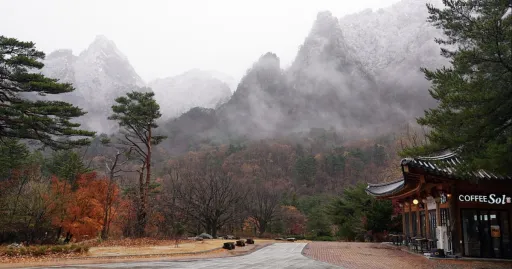 Image for article 10 Travel Scams in South Korea You Might Not Know About