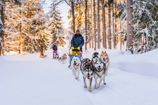 Image for article From Thermal Springs to Tobogganing: A List of Winter Activities in Austria & Where to Find Them