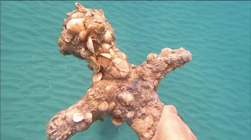 Image for article An Israeli Scuba Diver Just Found a 900-Year-Old Crusader Sword