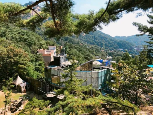 Image for article Coffee and Cuddles: 5 Best Cafes in Seoul for Couples