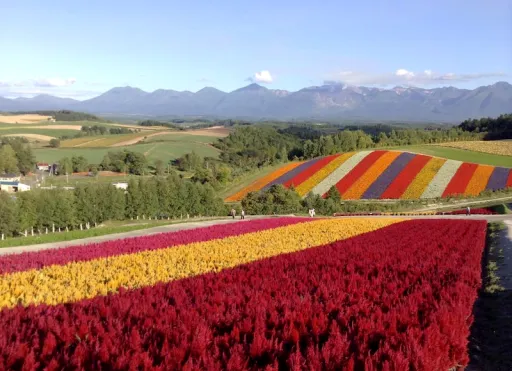 Image for article Hokkaido in Green Season Is One of the Best Views in Japan