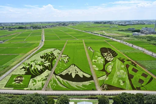 Image for article Rice Paddies in Gyoda Transform Into Artworks to Mark Tokyo Olympics