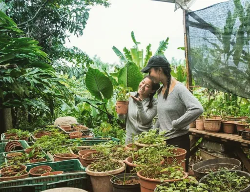 Image for article 10 Farms in Singapore to Visit for a Taste of the Countryside
