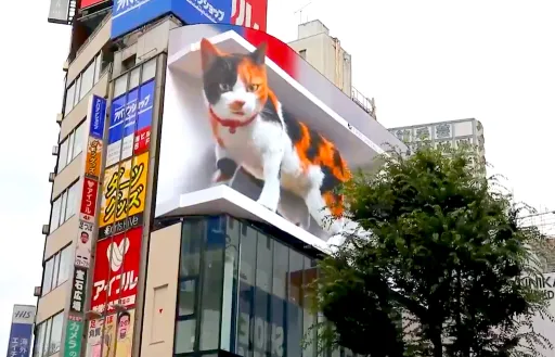 Image for article Here’s How You Can Watch the Giant 3D Billboard Cat in Tokyo!