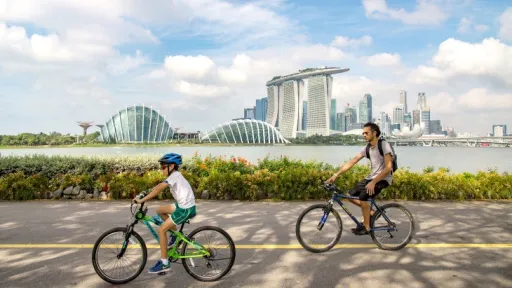 Image for article 8 Bicycle Rental Spots in Singapore for a Cycling Adventure