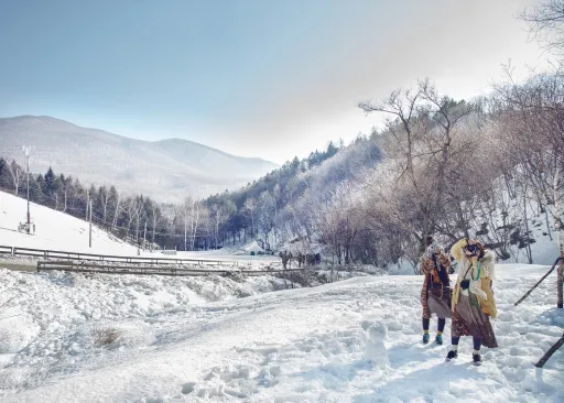 Image for article Experience Gangwon Like a True Local: How to Travel and Things to Do 