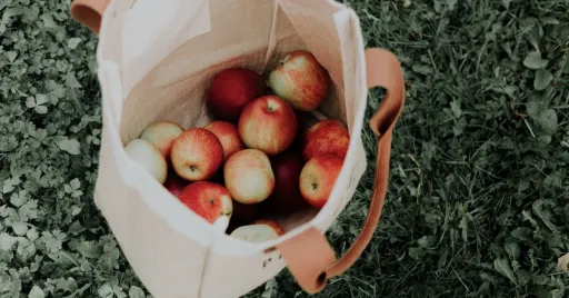 Image for article Supermarkets to Charge for Plastic Bags: Where to Get Reusable Bags in Singapore
