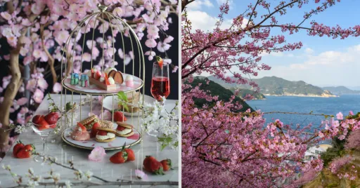 Image for article Experience Cherry Blossom in Singapore With This Sakura-Themed High Tea Set