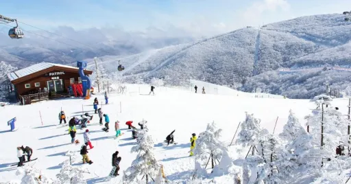 Image for article Top 8 Ski Resorts in South Korea’s Gangwon Province