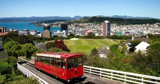 Image for article 5 Things You Need to Know About Living in Wellington, New Zealand