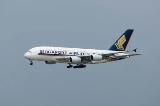 Image for article SilkAir And Singapore Airlines Are Officially Singapore’s Newest Item