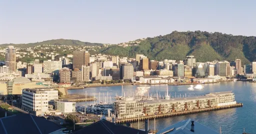Image for article Top 5 Things to Do in Wellington, According to a Local