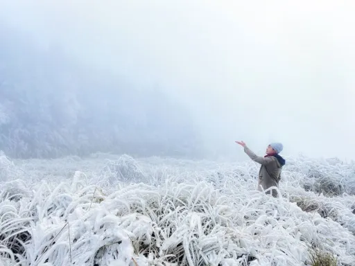 Image for article Rare Snowfall Seen in Yilan County as Cold Front Sweeps Taiwan