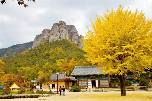 Image for article The Best Nature Parks in South Korea That You Have to Explore
