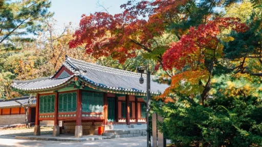 Image for article 10 Most Famous UNESCO World Heritage Sites You Need to Visit in South Korea 