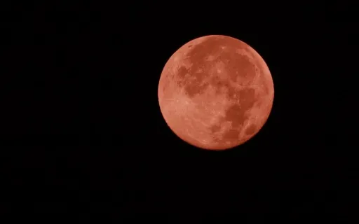 Image for article 8 Best Places In Singapore To Catch The Super Worm Moon