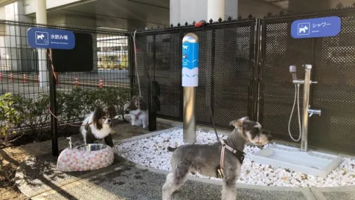 Image for article First Dog Toilet in Japan At Osaka Airport
