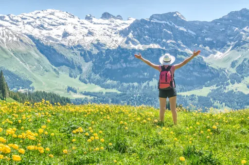 Image for article On Seeing the Swiss Alps for the First Time