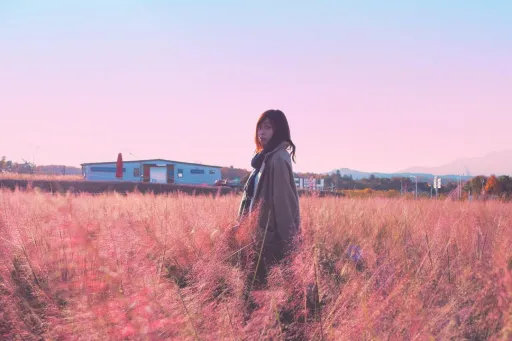 Image for article 2019 Autumn Forecast: Best Places to See Autumn Leaves in Korea