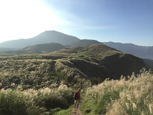Image for article Guide to Yangmingshan National Park