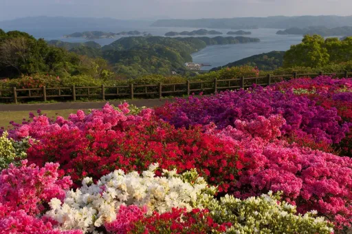 Image for article The Top 10 Things to Do in Sasebo