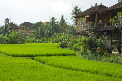 Image for article Top 15 Things to Do in Ubud Including Goa Gajah