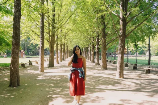 Image for article Nami Island, Gangchon Rail Bike and Petit France: My Day Tour Experience