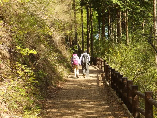 Image for article 9 Hiking Spots Near Tokyo With the Best Views!