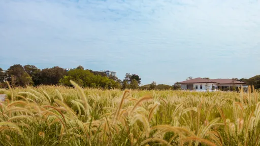 Image for article Here’s What to Expect at Lakeside Gardens, Singapore’s Newest National Park