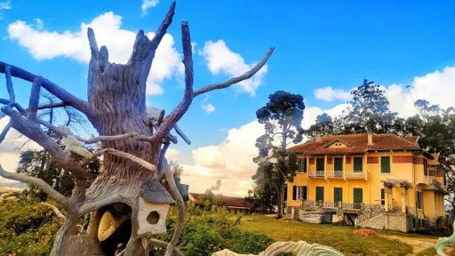 Image for article Guide to Da Lat : A 3D2N Itinerary