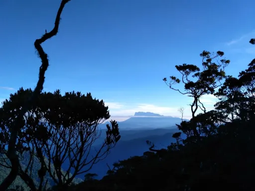 Image for article A Guide to Climbing Mount Trusmadi